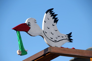 Storch