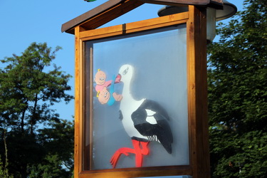 Storch